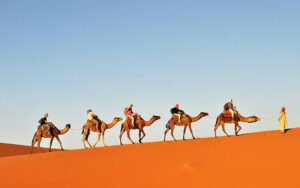 Camel trek in Merzouga-Desert of Morocco